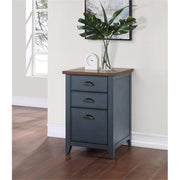 Dusty Blue Wood File Cabinet with Adjustable Shelves