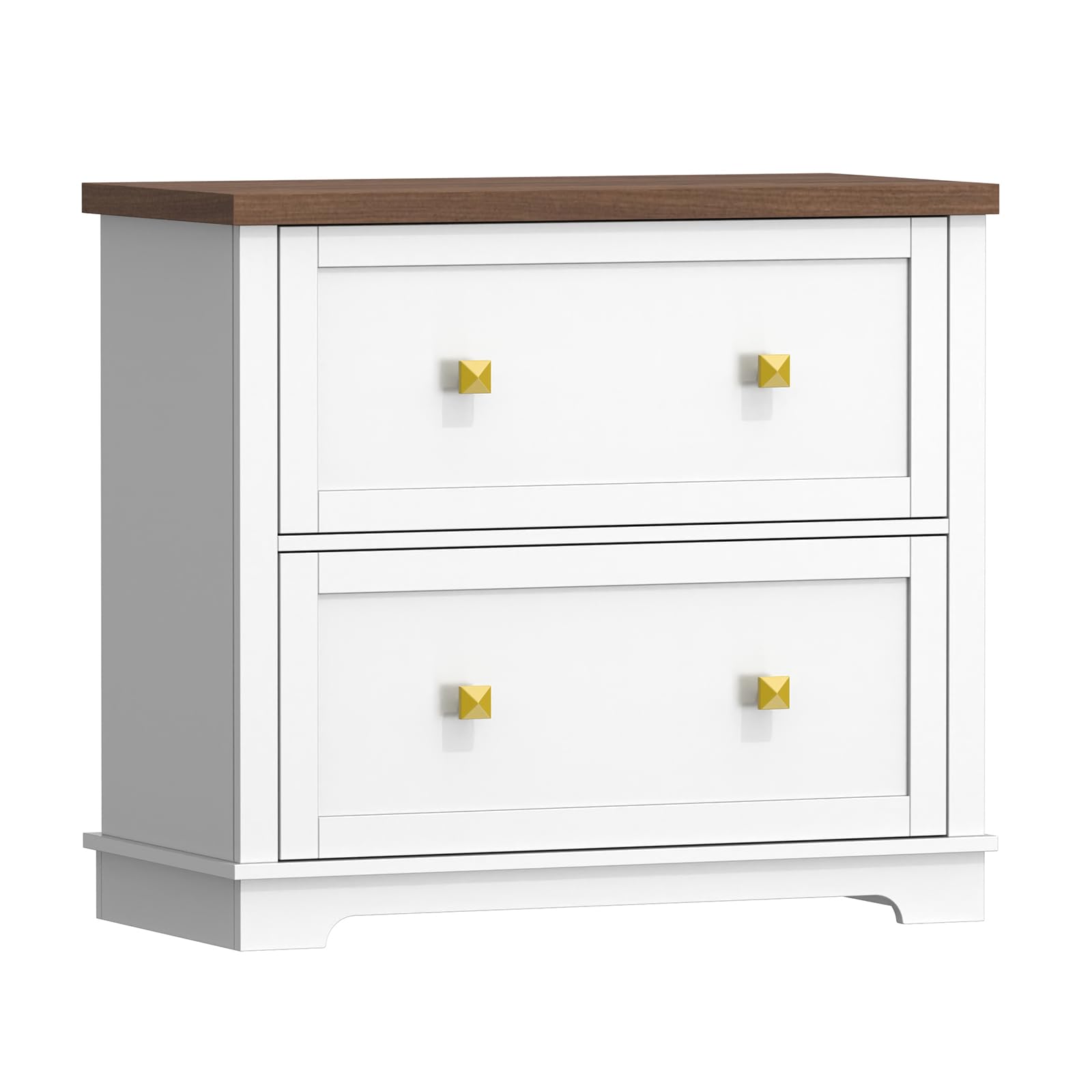 2 Drawer Lateral File Cabinet with Printer Stand