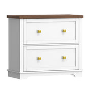 2 Drawer Lateral File Cabinet with Printer Stand