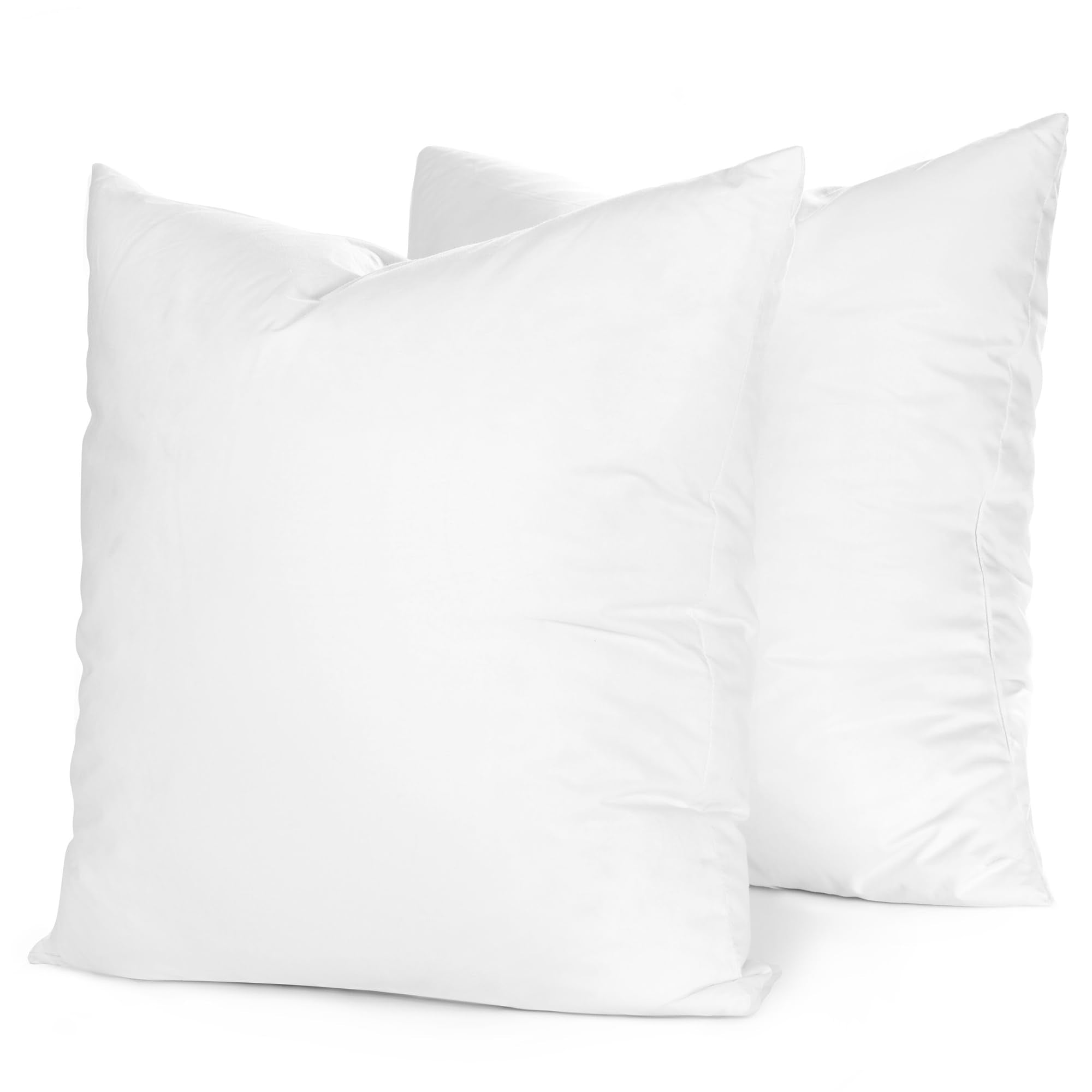 20x20 Down Feather Throw Pillow Insert