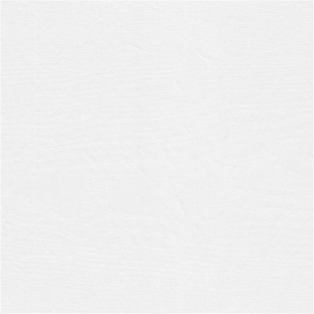 60W Computer Desk with Hutch and Storage in White Ash