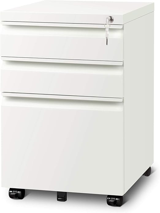 2-Drawer Locking File Cabinet with Wheels