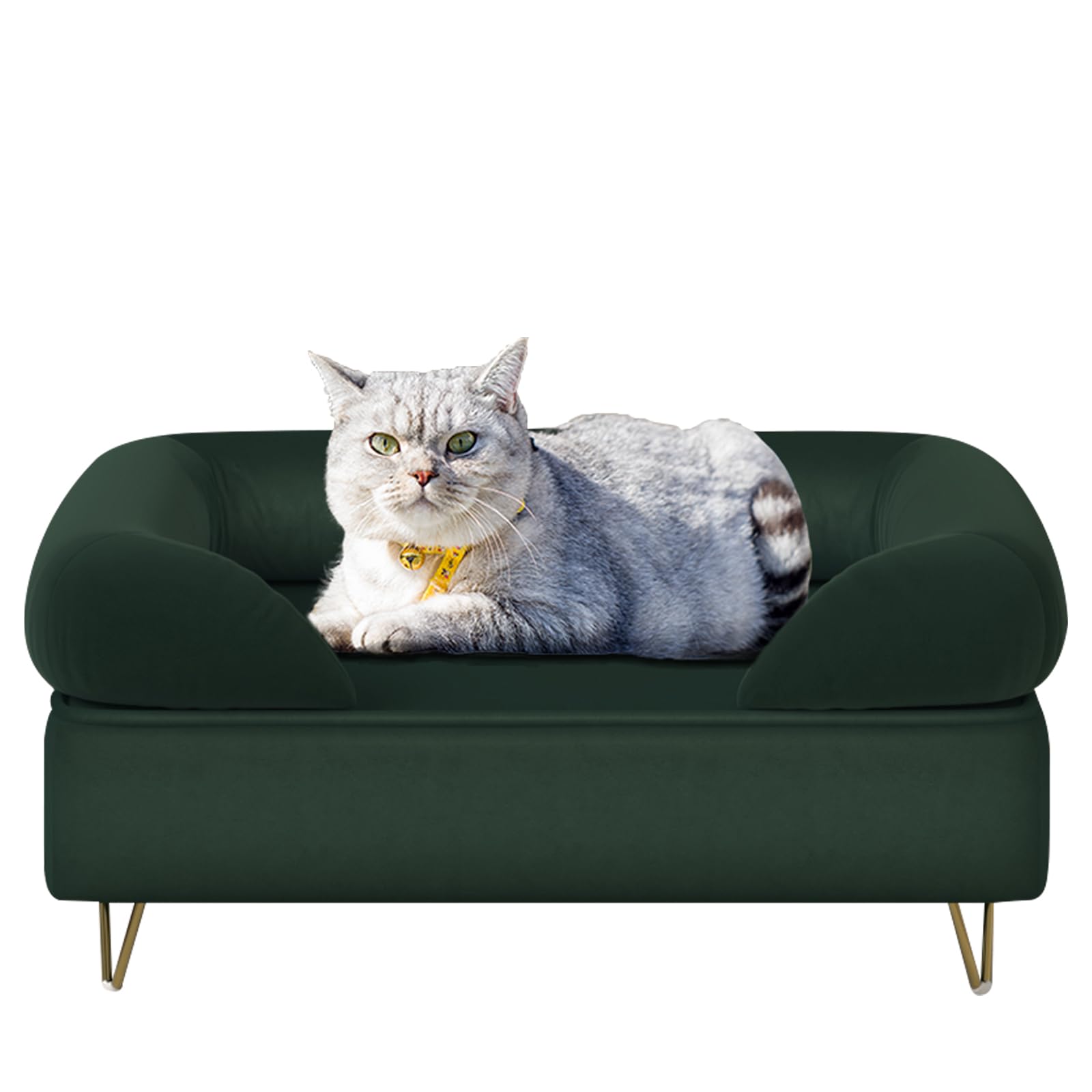 Velvet Pet Sofa with Wooden Frame