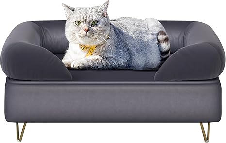 Velvet Pet Sofa with Wooden Frame