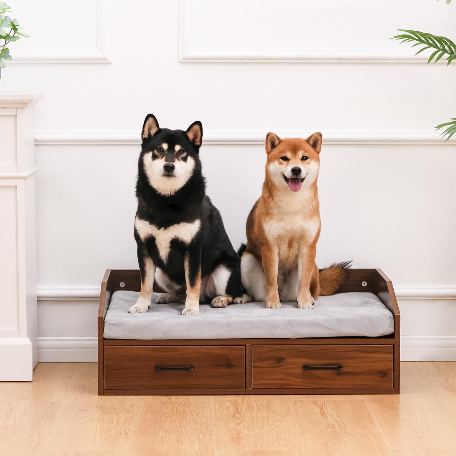 Elevated Dog Bed Frame with Mattress