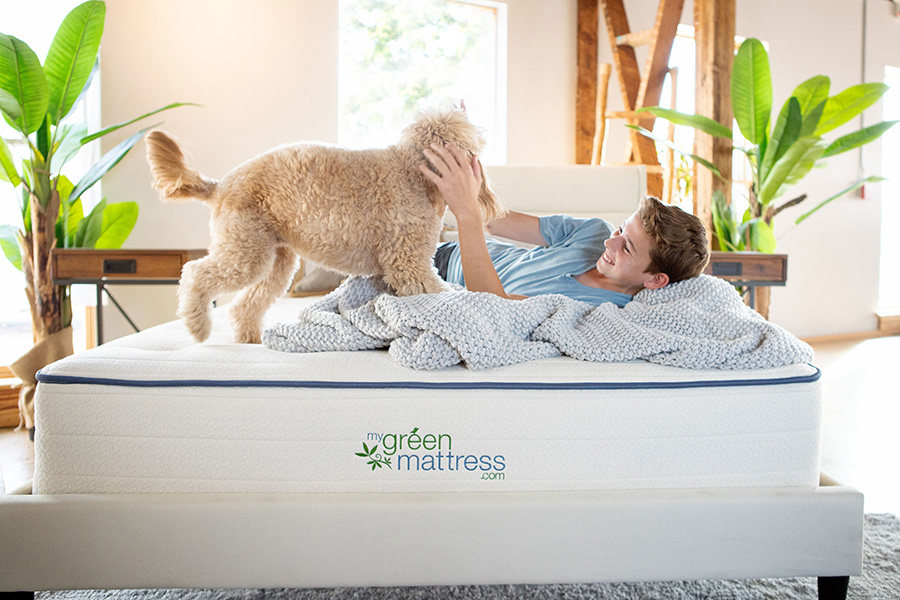 Organic Twin Mattress - GOTS Certified Natural Latex & Pocketed Coil