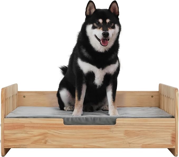 Elevated Dog Bed Frame with Mattress