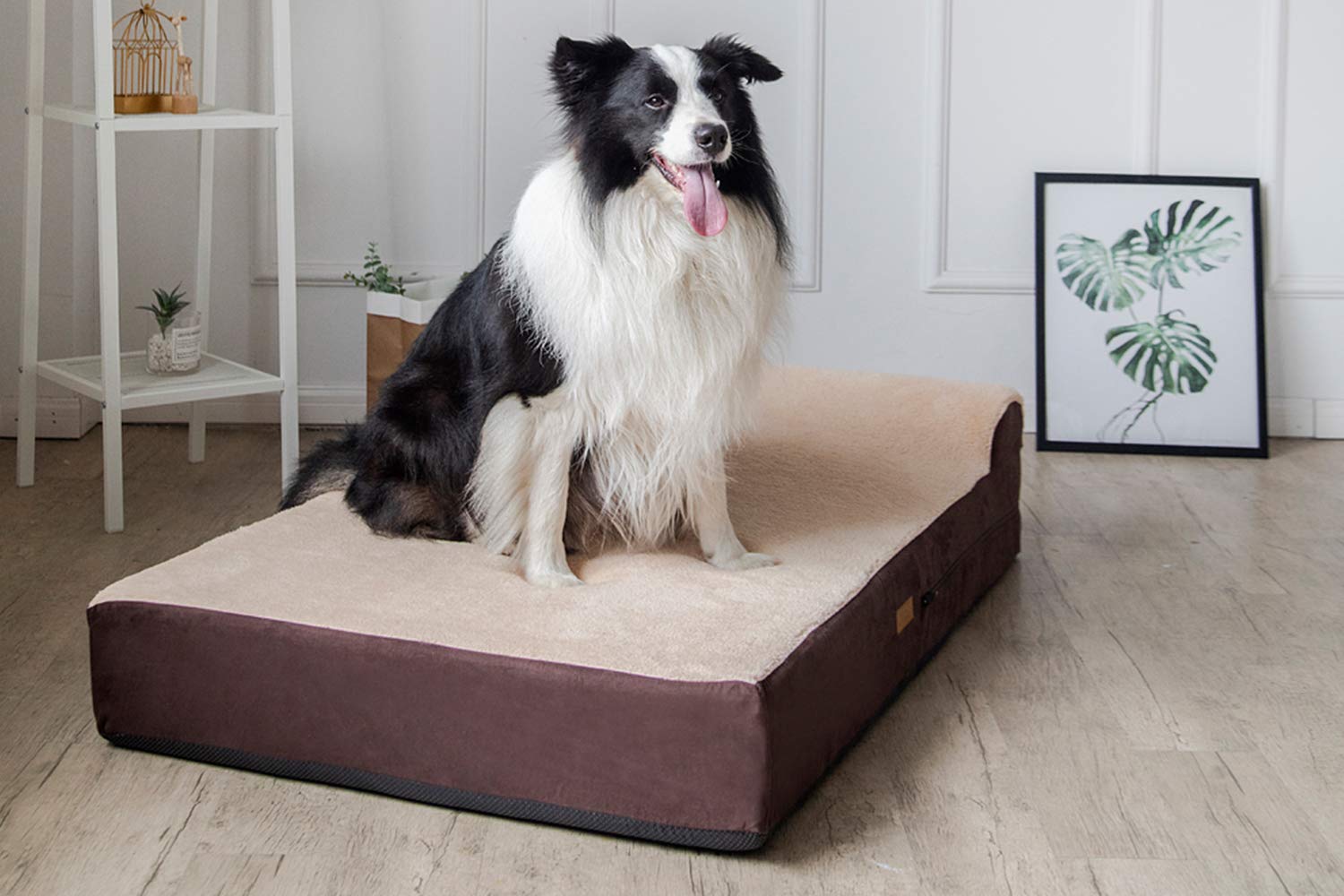 Extra Large Orthopedic Memory Foam Dog Bed with Pillow