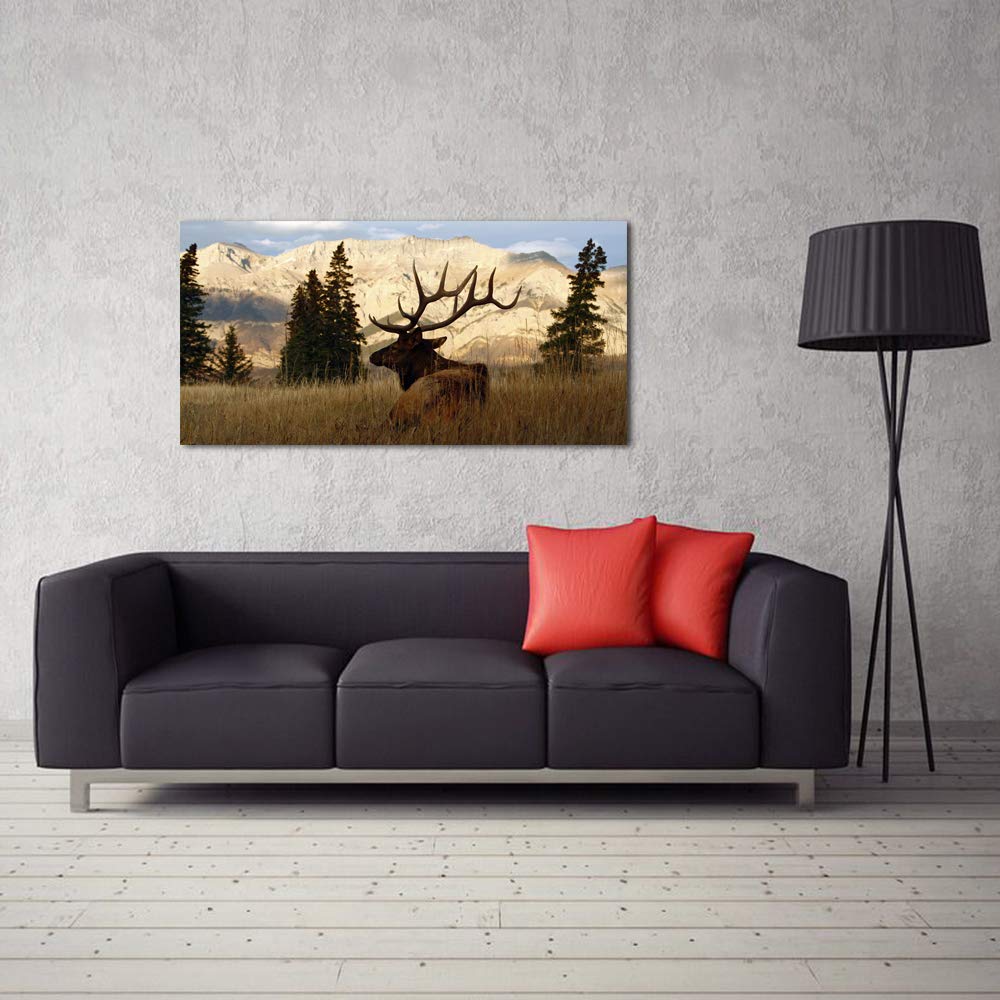 Wildlife Animal Painting Deer Elk Wall Art Canvas