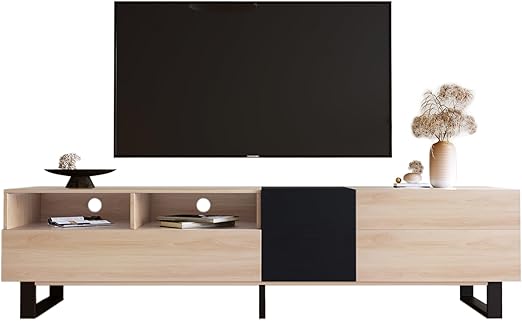 Modern TV Entertainment Center with Storage
