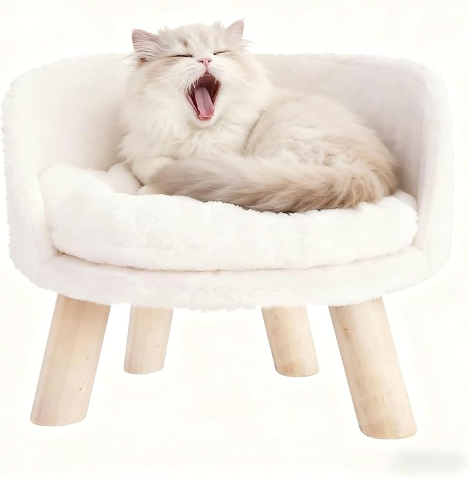 Elevated Pet Bed with Cozy Waterproof Pad