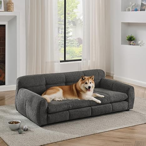 Modern Dog Sofa Bed with Armrests and Backrest