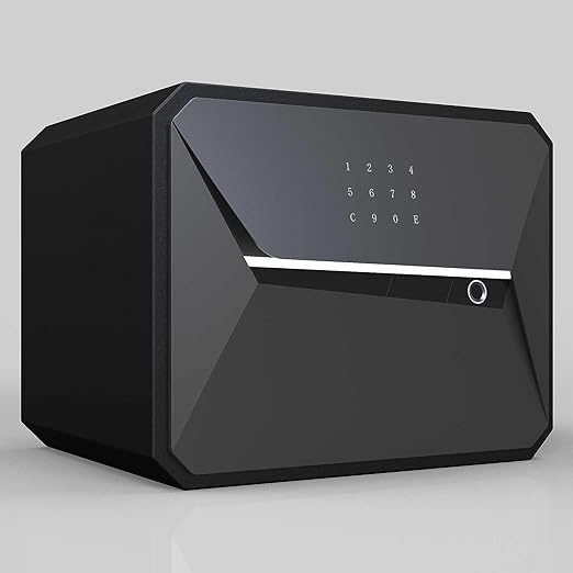 Fingerprint Biometric Home Safe 2.1 Cubic Feet