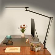 LED Clamp Desk Lamp with Adjustable Arm
