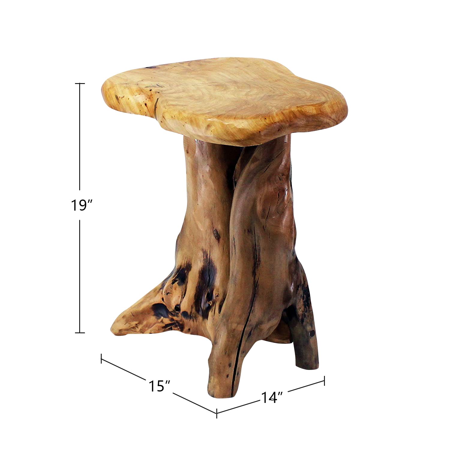 Natural Tree Stump Stool - 19" Live Edge Side Table