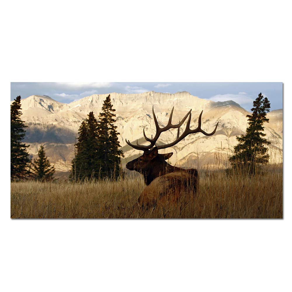 Wildlife Animal Painting Deer Elk Wall Art Canvas