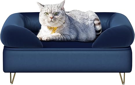 Velvet Pet Sofa with Wooden Frame