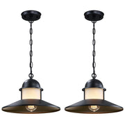 Outdoor Pendant Light 2 Pack Matte Black with Frosted Glass