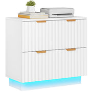 2 Drawer LED File Cabinet with Light