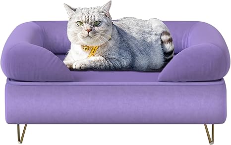 Velvet Pet Sofa with Wooden Frame