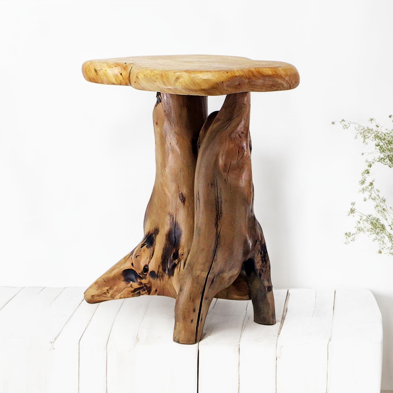 Natural Tree Stump Stool - 19" Live Edge Side Table