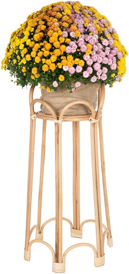 Rattan Loop Indoor Plant Stand 26 Inches Natural Brown