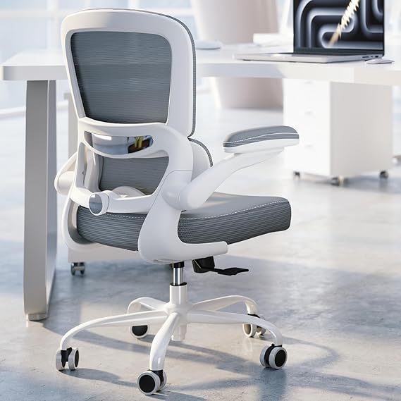 Ergonomic Office Chair with Adjustable Lumbar Support