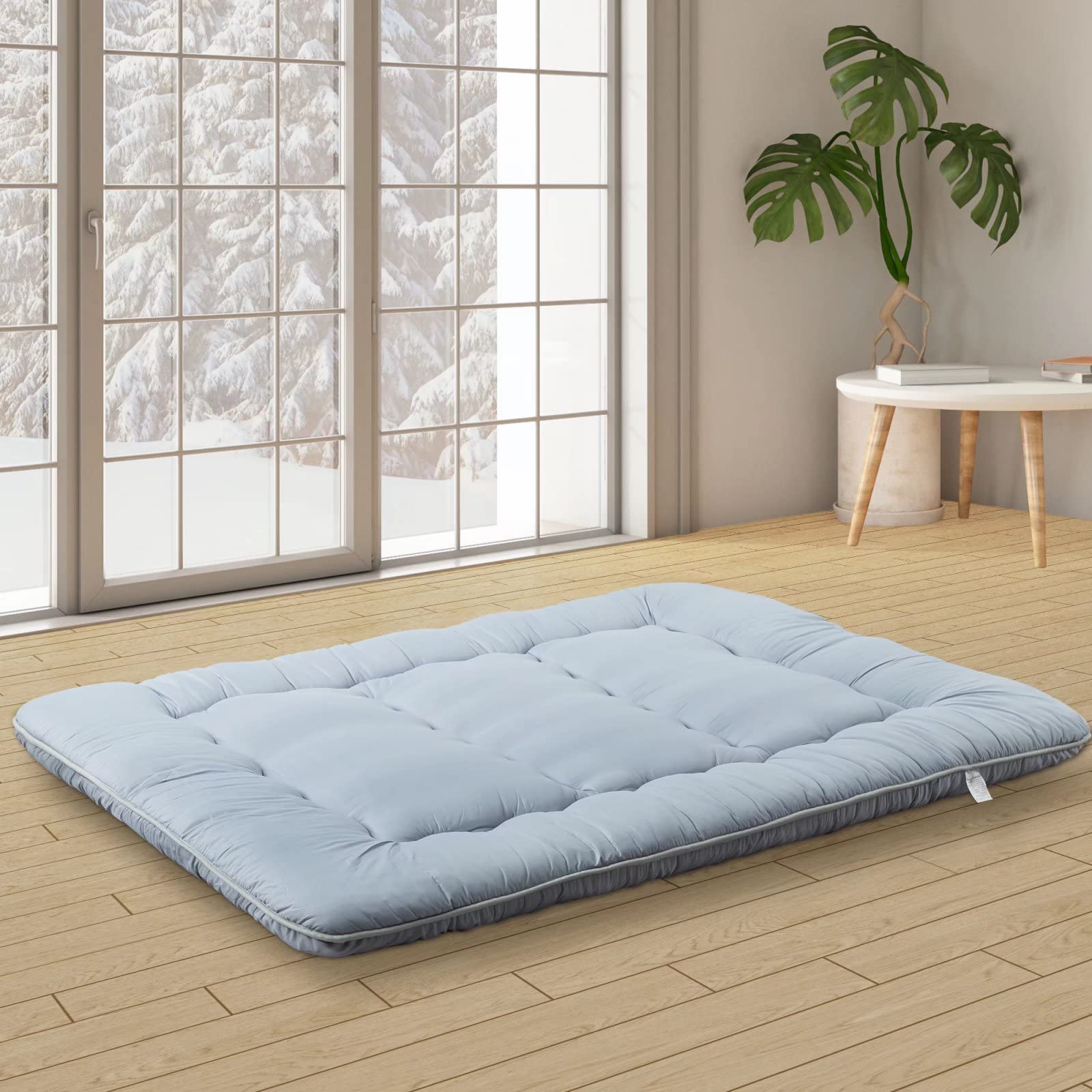 Floor Futon Mattress Full Size