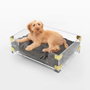 Haines Modern Lucite Velvet Pet Bed with Washable Cushion