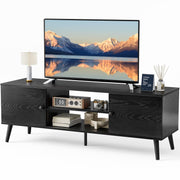 Modern Mid Century TV Stand with Storage