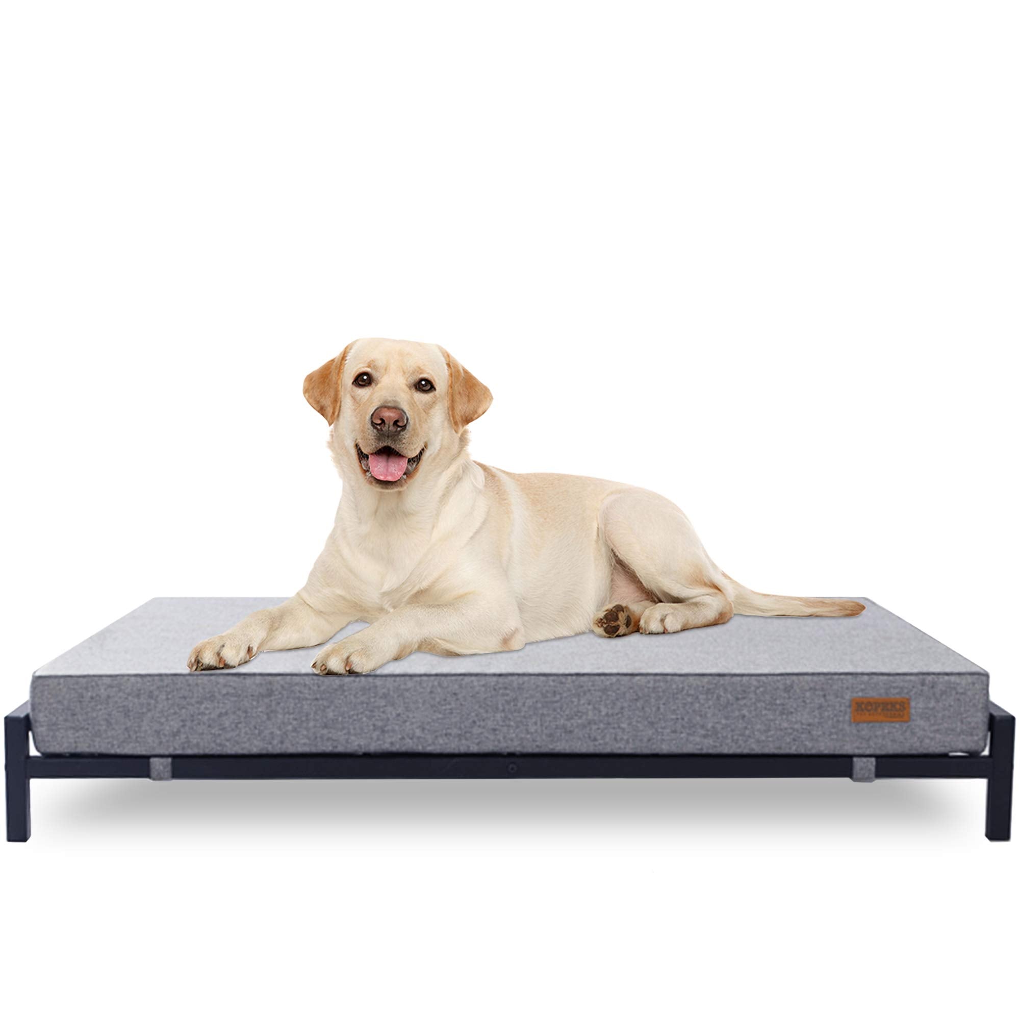 Outdoor Elevated Dog Bed for Large Dogs - Modern Style
