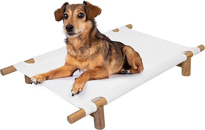 Chester 32" Elevated Outdoor Dog Bed with Wood Frame