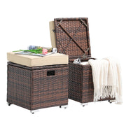 2-Piece Outdoor Patio Storage Ottoman Set - Beige Rattan Wicker