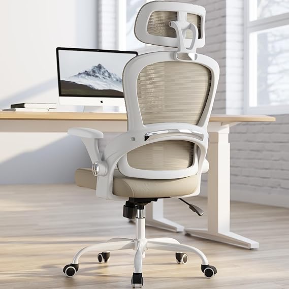 Ergonomic Office Chair with Lumbar Support