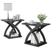End Side Table Set of 2 with Storage Shelf