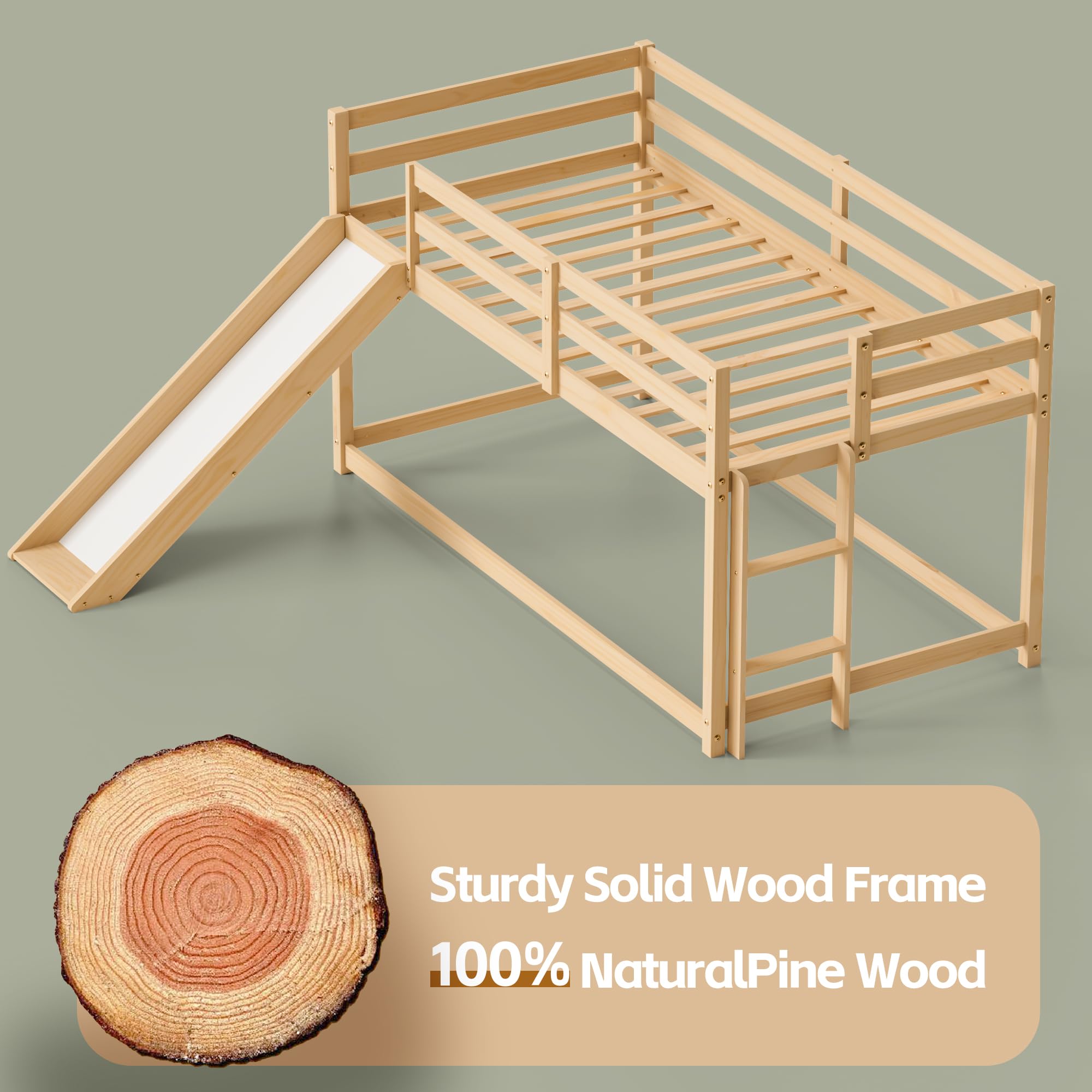 Twin Low Loft Bed with Slide and Ladder