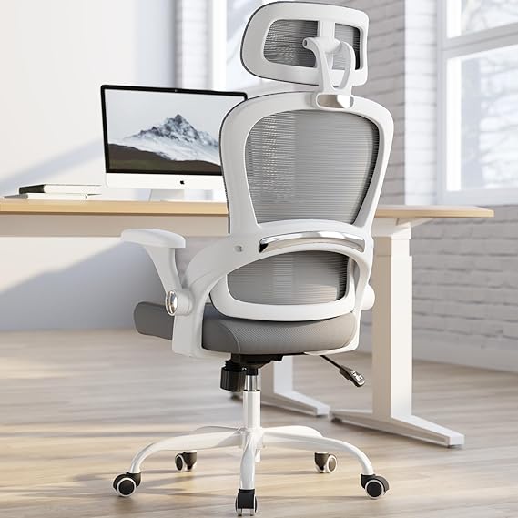Ergonomic Office Chair with Lumbar Support