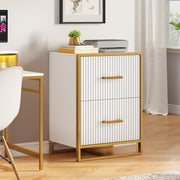 2 Drawer Lateral File Cabinet with Gold Frame