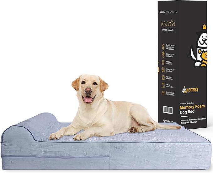 Orthopedic Memory Foam Dog Bed - Extra Large with Pillow