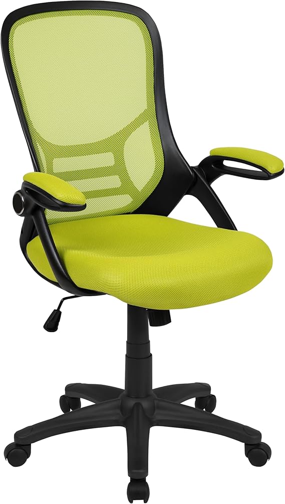 Ergonomic Mesh Office Chair with Lumbar Support