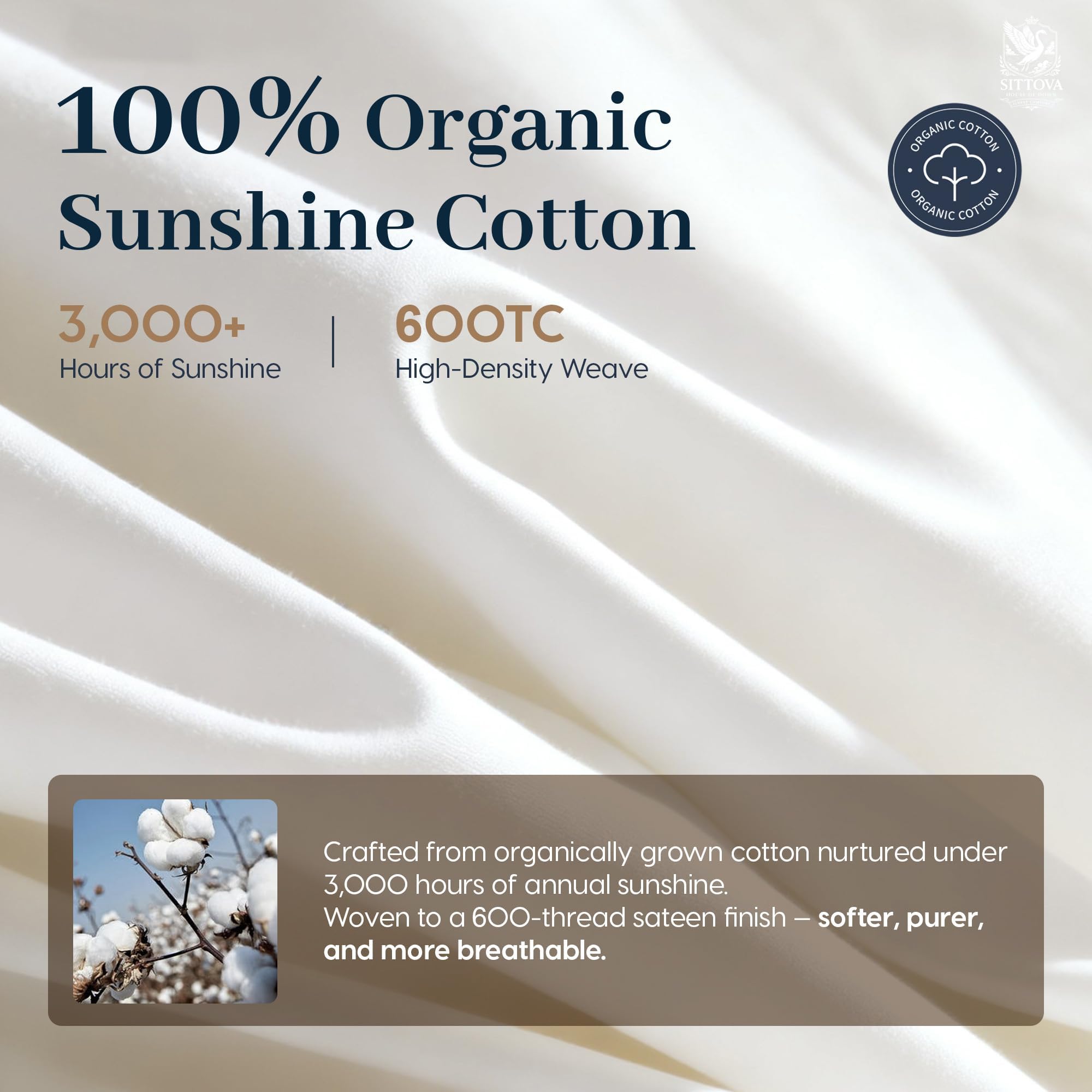 King Size Goose Down Comforter All-Season