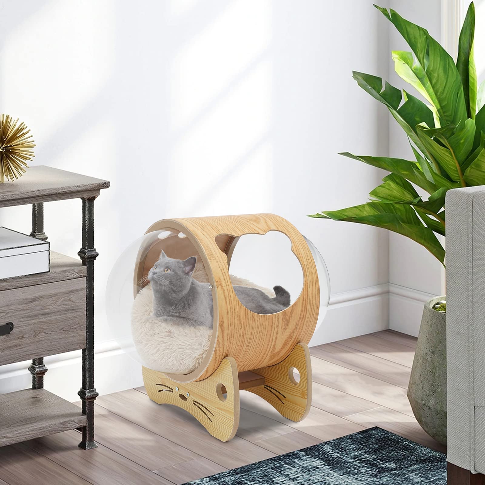 Capsule Cat Bed with Acrylic Dome