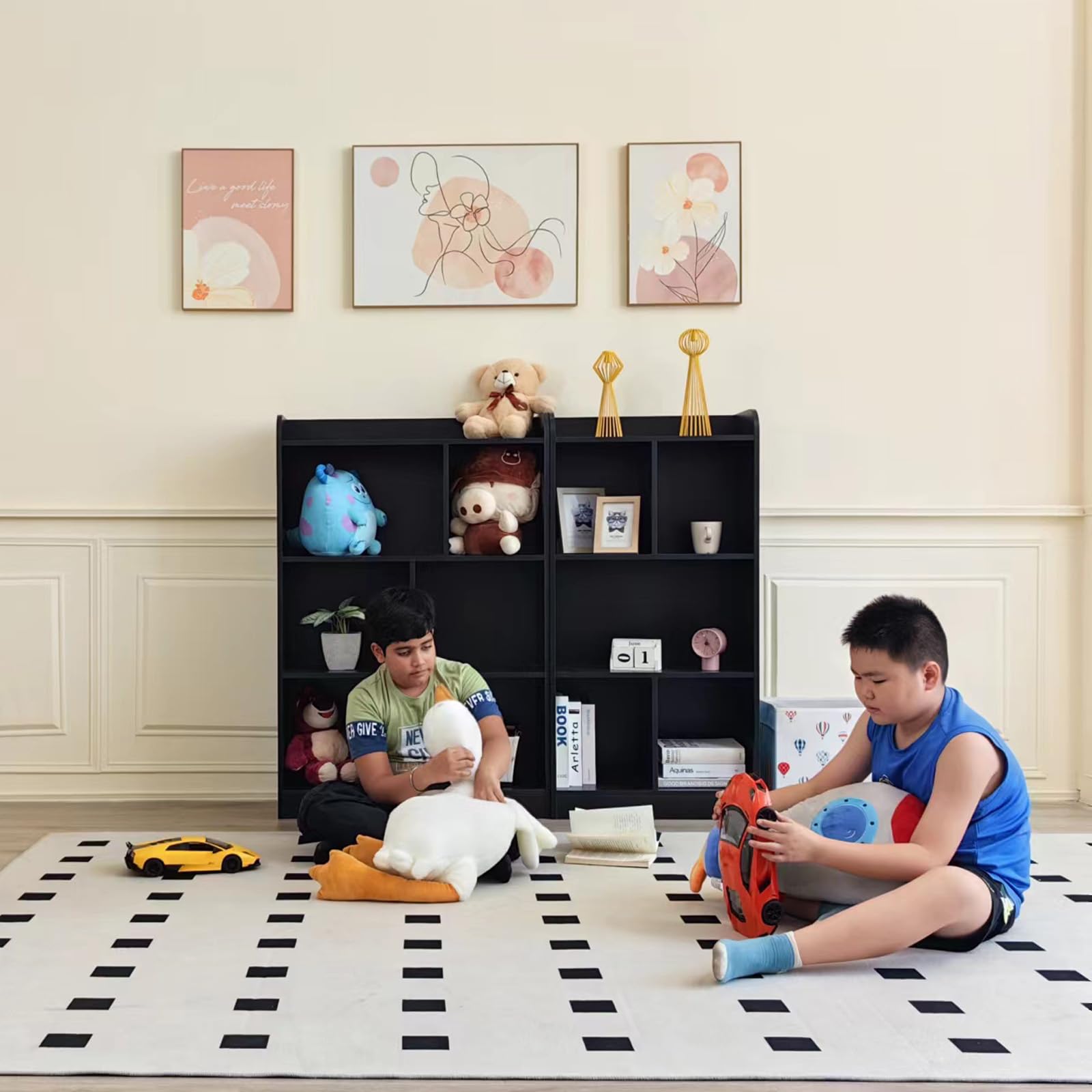 6 Cube Storage Bookcase