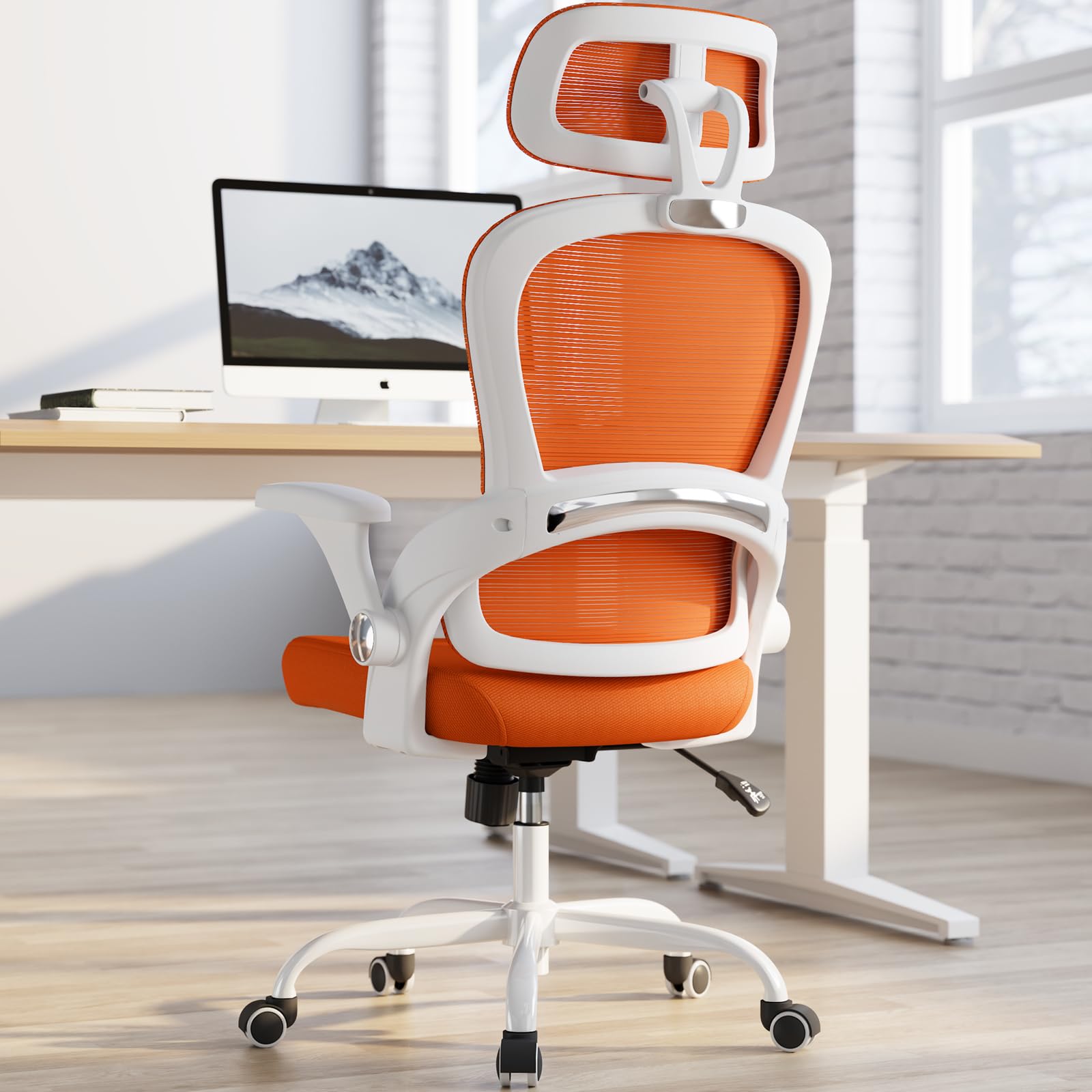 Ergonomic Office Chair with Lumbar Support