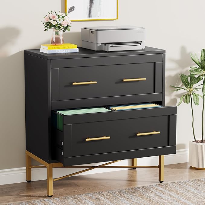 2-Drawer Lateral File Cabinet with Storage