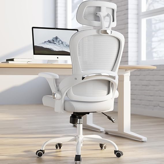 Ergonomic Office Chair with Lumbar Support