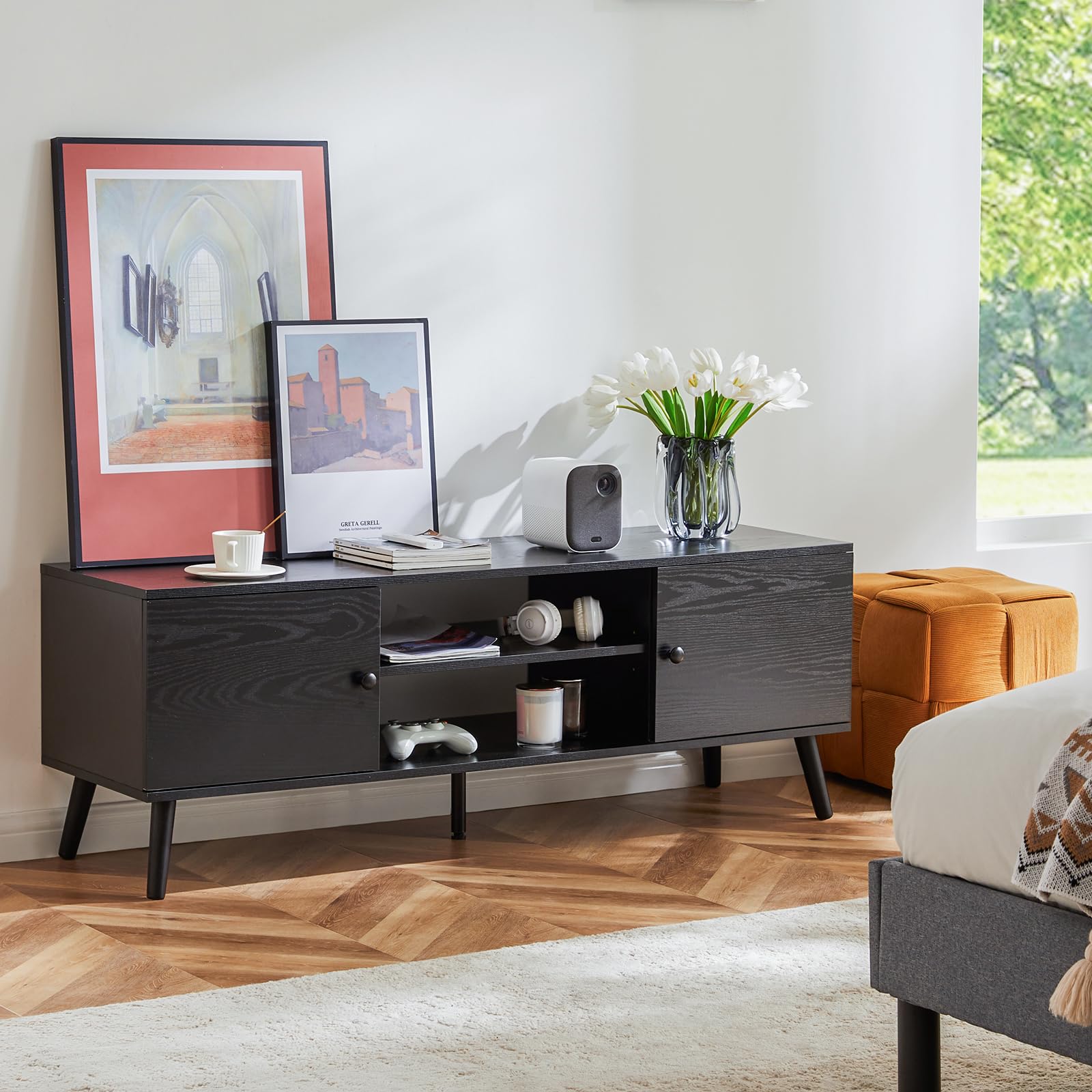 Modern Mid Century TV Stand with Storage