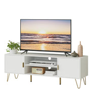 TV Stand for 55-65 Inch TV with Soft Hinge Door and 2 Cabinets
