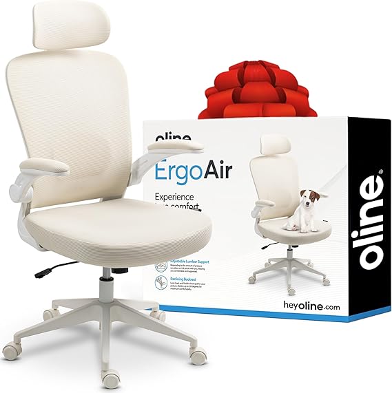 Ergonomic Mesh Office Chair with Adjustable Lumbar