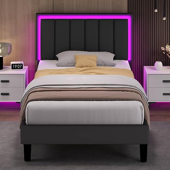Queen Bed Frame with LED Lights